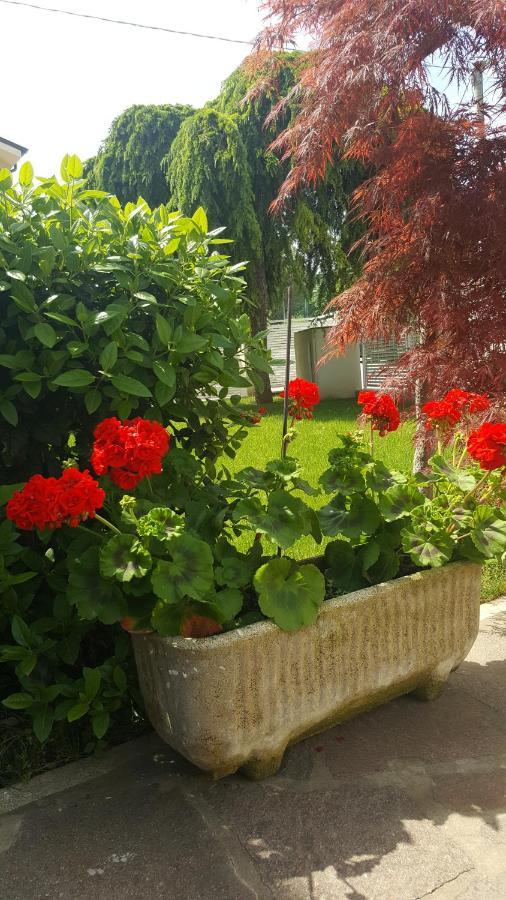 B&B "Al Colle 11" ファーノ エクステリア 写真